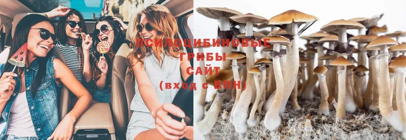 mega ССЫЛКА  Змеиногорск  Псилоцибиновые грибы Magic Shrooms  магазин  наркотиков 